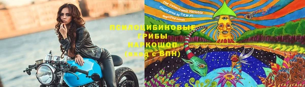 герыч Богородицк