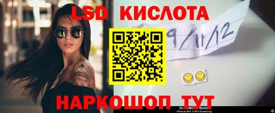 spice Свободный