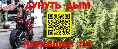 spice Свободный