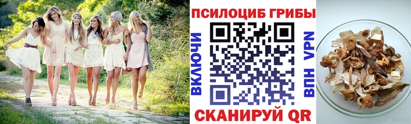 Псилоцибиновые грибы Magic Shrooms Обь