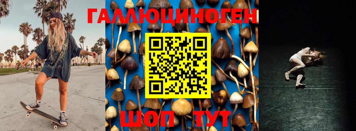 Обь  Галлюциногенные грибы Psilocybe  Галлюциногенные грибы мицелий  Вход с VPN 