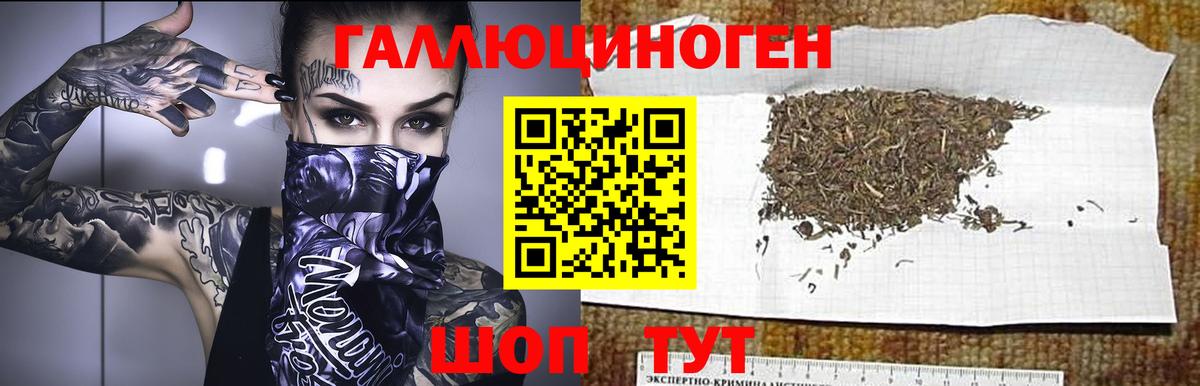 Псилоцибиновые грибы мицелий Обь